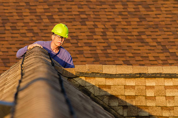 Best Shingle Roofing Installation  in Coolidge, AZ