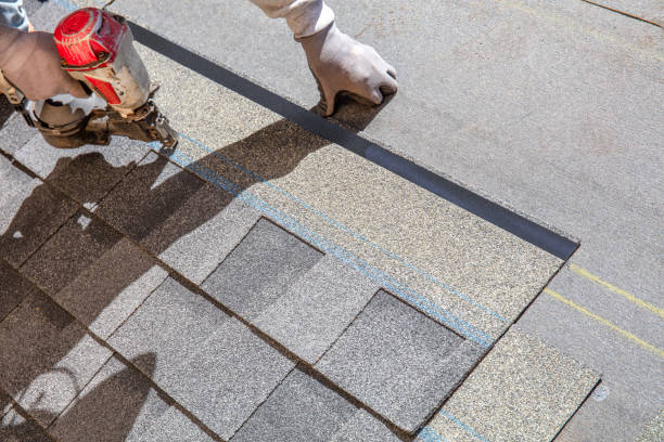 Best Roof Gutter Cleaning  in Coolidge, AZ